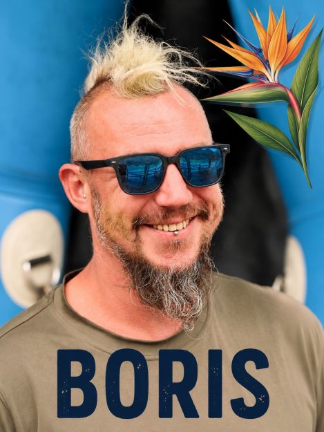 BORIS GUIDE 2026