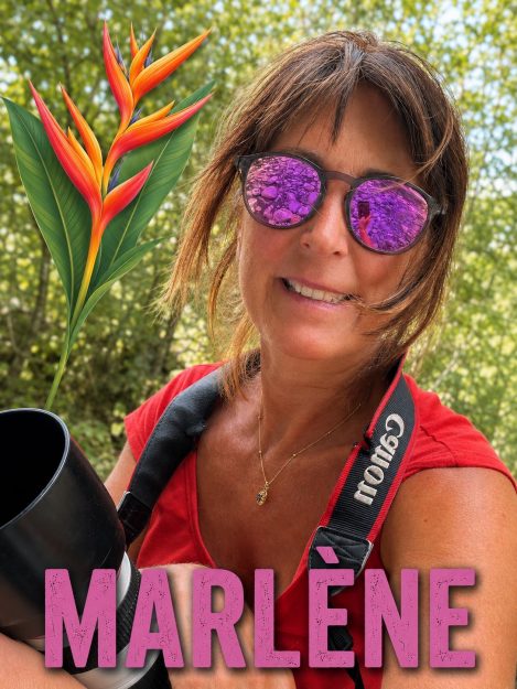 MARLENE PHOTOGRAPHE 2026